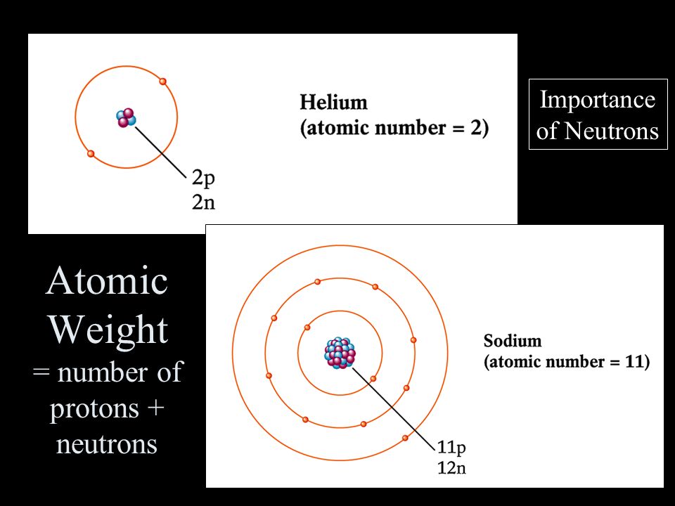 Atomic Weight = number of protons + neutrons Importance of Neutrons