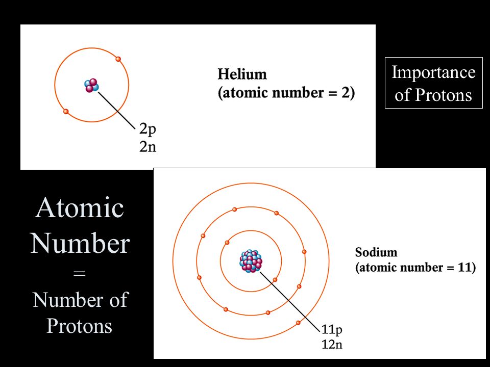 Atomic Number = Number of Protons Importance of Protons