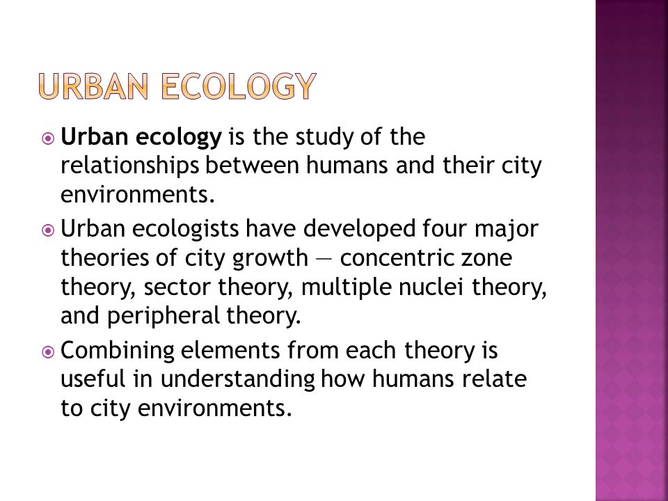 the study on the relationship between the study on the relationship between