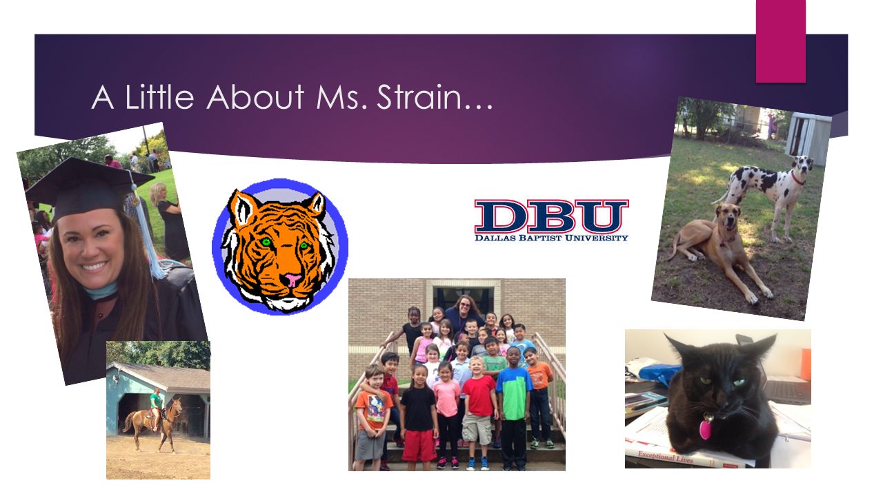 A Little About Ms. Strain…