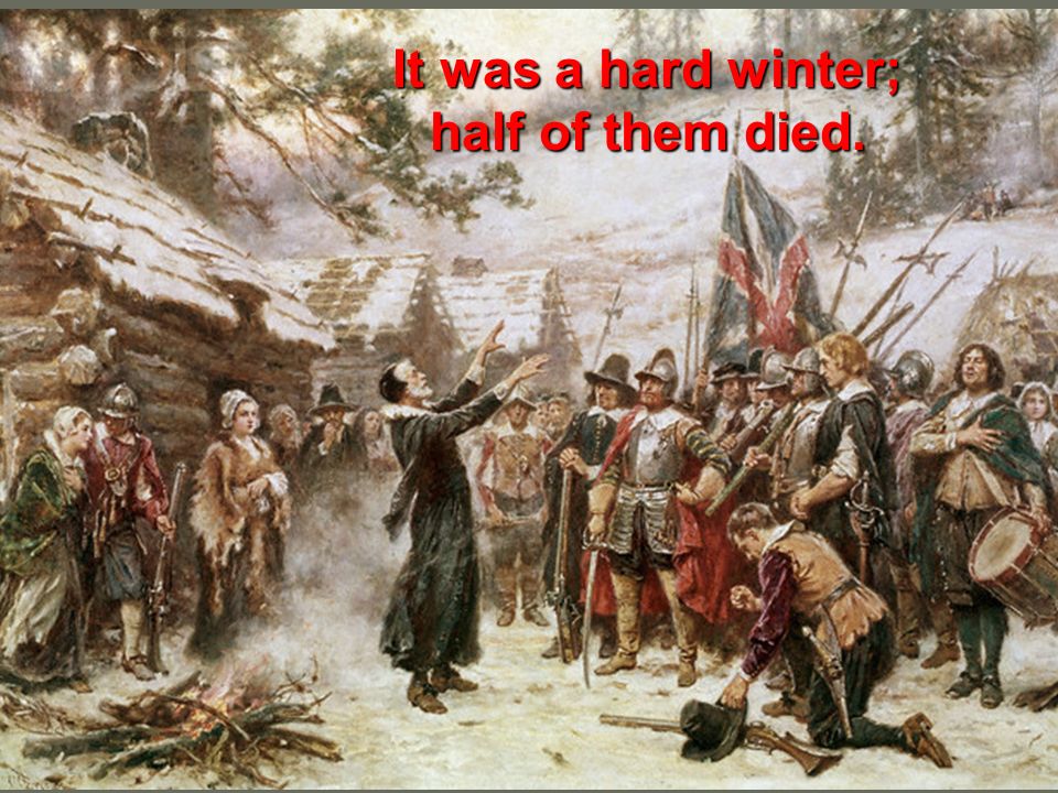 It was a hard winter; half of them died.