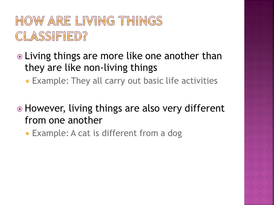  Living things are more like one another than they are like non-living things  Example: They all carry out basic life activities  However, living things are also very different from one another  Example: A cat is different from a dog