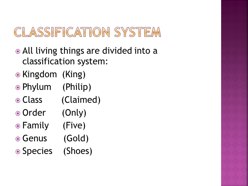  All living things are divided into a classification system:  Kingdom (King)  Phylum (Philip)  Class (Claimed)  Order (Only)  Family (Five)  Genus (Gold)  Species (Shoes)