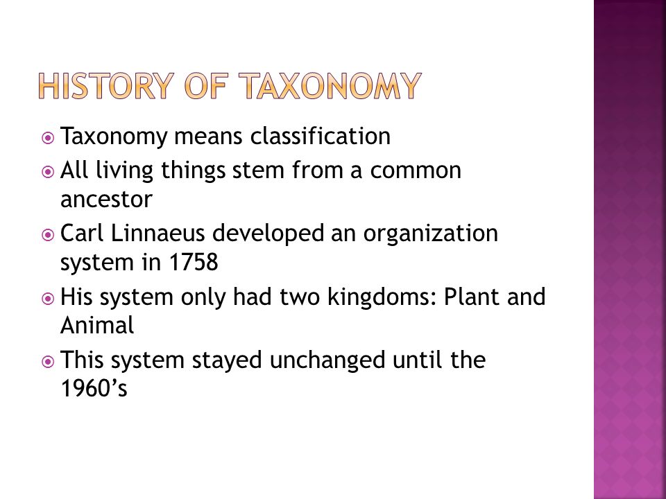 Taxonomy means classification  All living things stem from a common ancestor  Carl Linnaeus developed an organization system in 1758  His system only had two kingdoms: Plant and Animal  This system stayed unchanged until the 1960’s