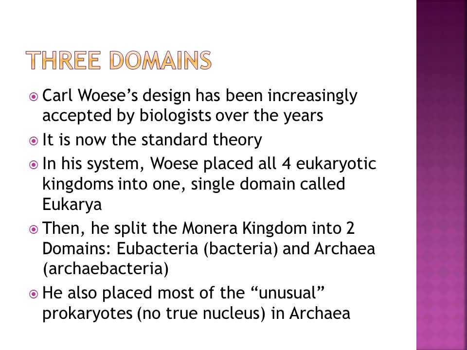  Carl Woese’s design has been increasingly accepted by biologists over the years  It is now the standard theory  In his system, Woese placed all 4 eukaryotic kingdoms into one, single domain called Eukarya  Then, he split the Monera Kingdom into 2 Domains: Eubacteria (bacteria) and Archaea (archaebacteria)  He also placed most of the unusual prokaryotes (no true nucleus) in Archaea