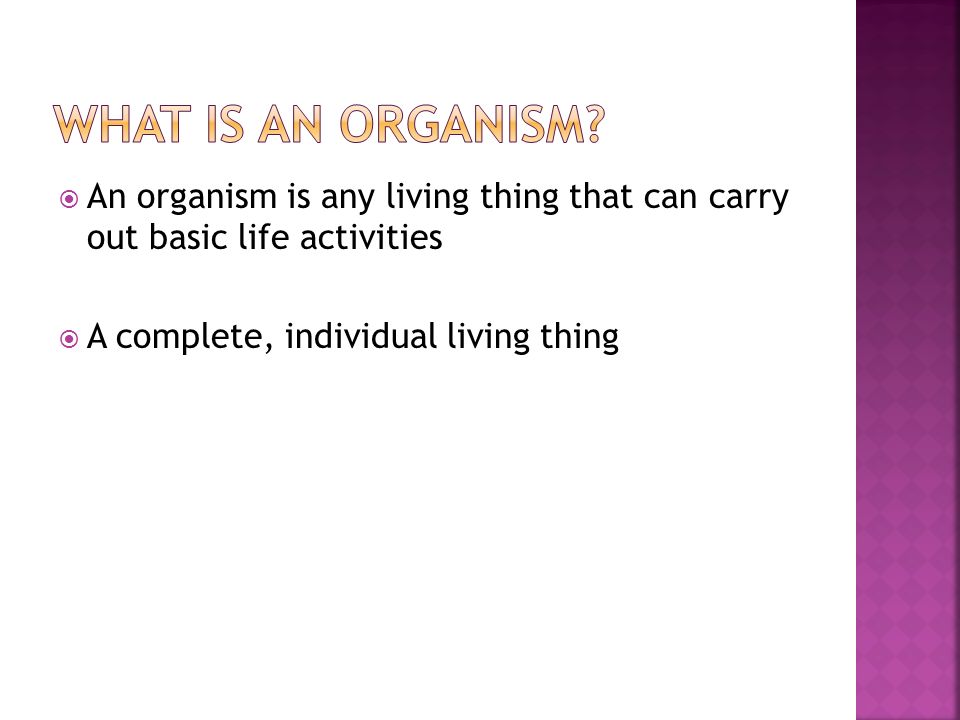  An organism is any living thing that can carry out basic life activities  A complete, individual living thing