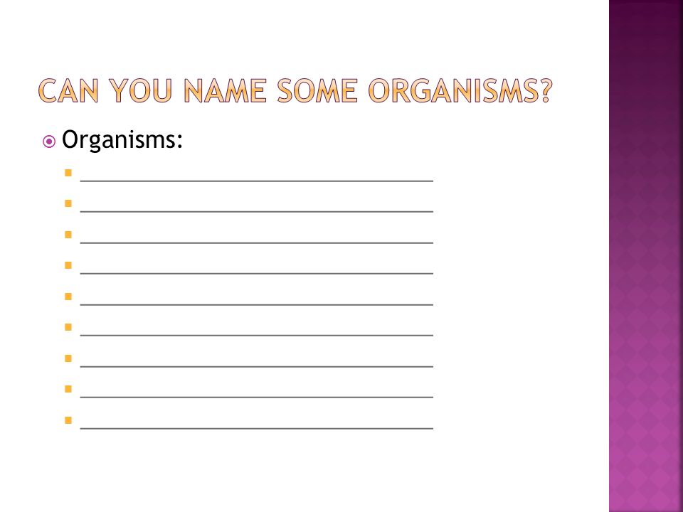  Organisms:  _______________________________