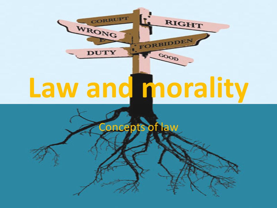 Law And Morality Essay