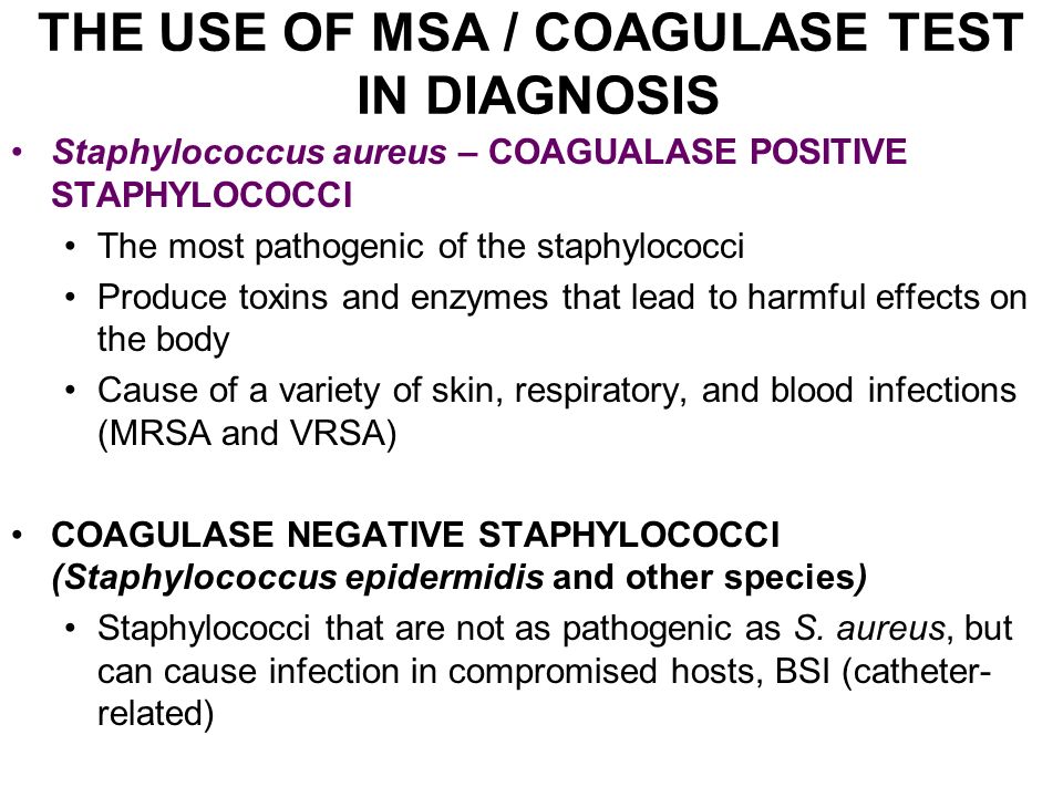 lab 5 the integumentary system lab 5 the integumentary system