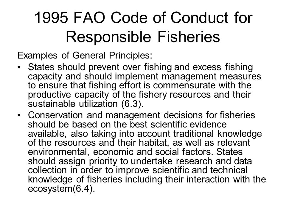 1995 FAO Code of Conduct for Responsible Fisheries Examples of General Principles: States should prevent over fishing and excess fishing capacity and should implement management measures to ensure that fishing effort is commensurate with the productive capacity of the fishery resources and their sustainable utilization (6.3).