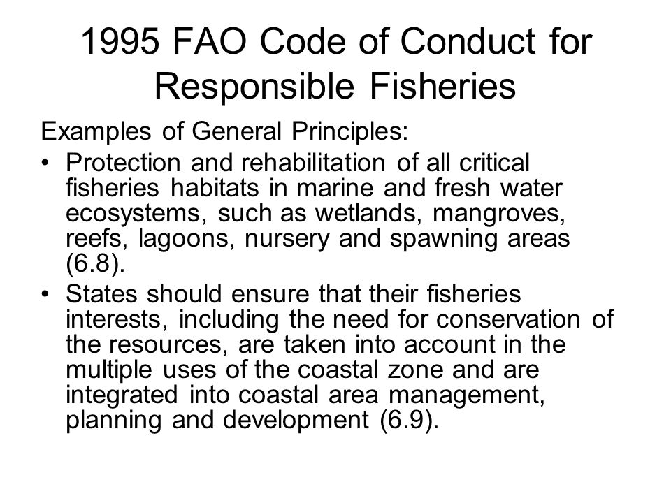 1995 FAO Code of Conduct for Responsible Fisheries Examples of General Principles: Protection and rehabilitation of all critical fisheries habitats in marine and fresh water ecosystems, such as wetlands, mangroves, reefs, lagoons, nursery and spawning areas (6.8).
