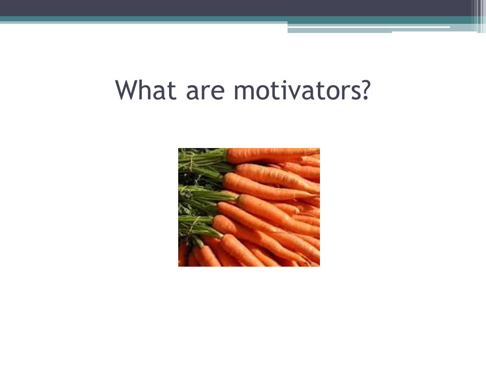 What are motivators