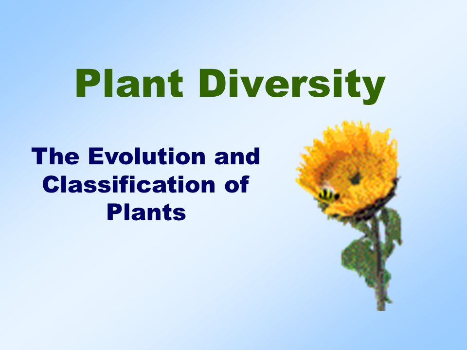 Plant Diversity The Evolution and Classification of Plants