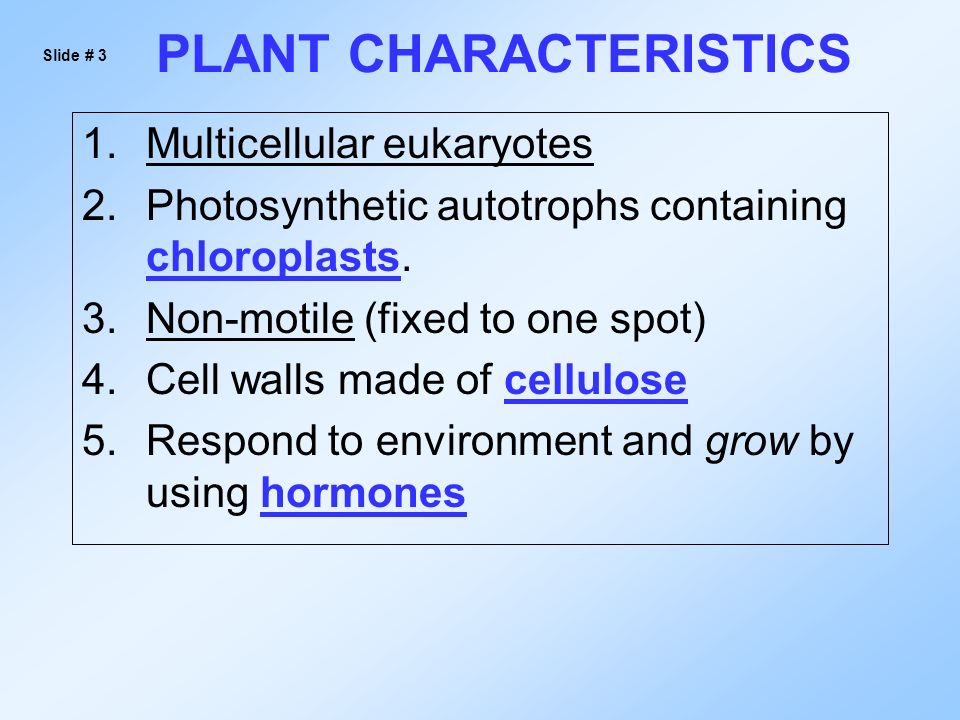 PLANT CHARACTERISTICS 1.Multicellular eukaryotes 2.Photosynthetic autotrophs containing chloroplasts.