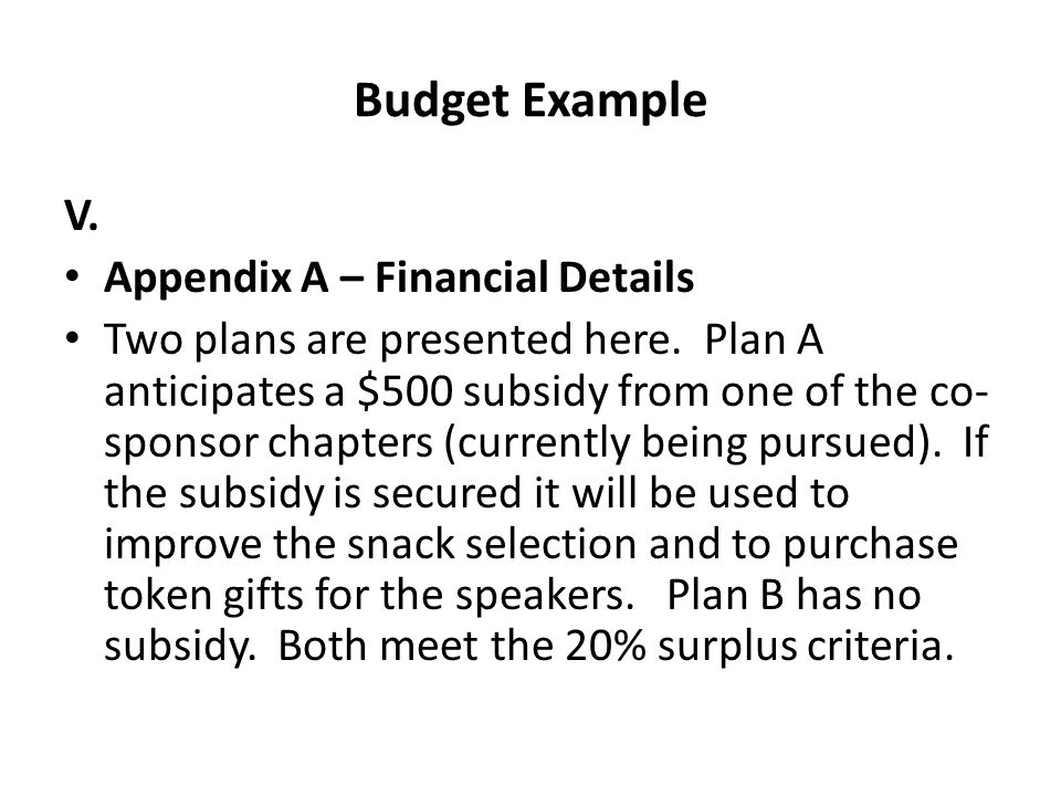 Budget Example V. Appendix A – Financial Details Two plans are presented here.