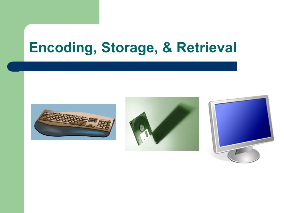 Encoding, Storage, & Retrieval