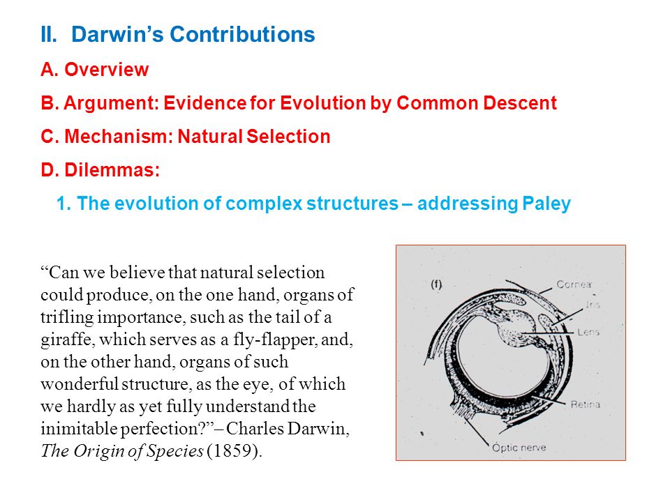 natural selection and evidence for evolution The evidence for evolution evolution by natural selection was indeed a favourite topic in society salons during the 1860s and beyond. natural selection and evidence for evolution The evidence for evolution evolution by natural selection was indeed a favourite topic in society salons during the 1860s and beyond.