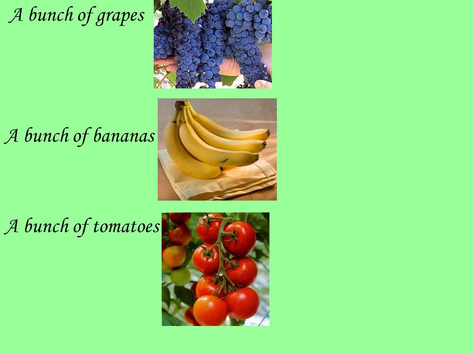 A bunch of grapes A bunch of bananas A bunch of tomatoes