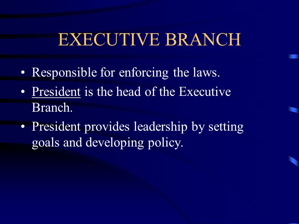EXECUTIVE BRANCH Responsible for enforcing the laws.