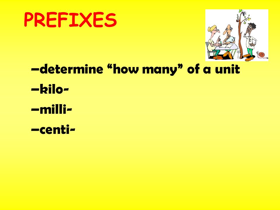 –determine how many of a unit –kilo- –milli- –centi- PREFIXES