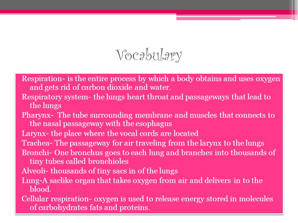 Vocabulary Respiration- is the entire process by which a body obtains and uses oxygen and gets rid of carbon dioxide and water.