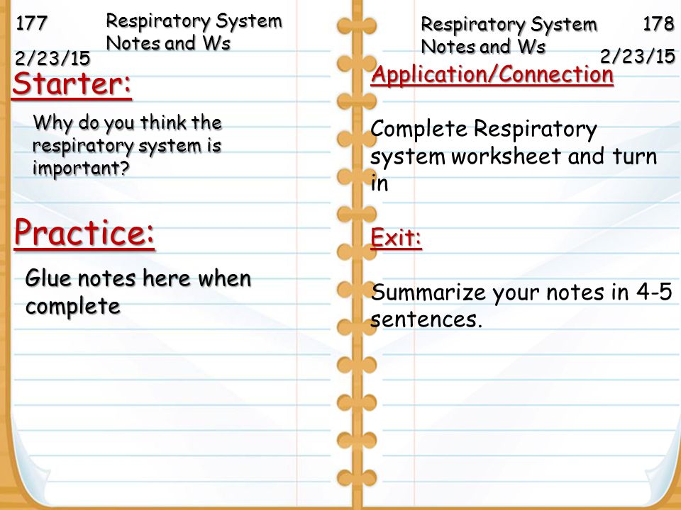 Respiratory System Worksheets Bhbr Info Respiratory System Worksheet Workbook Site