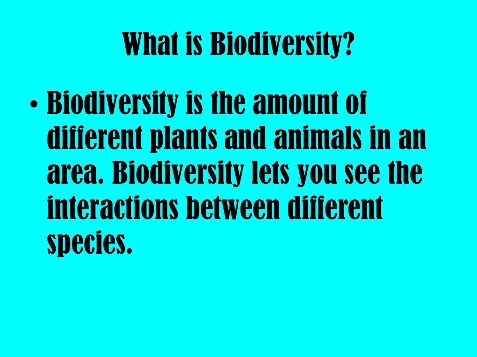 What is Biodiversity. Biodiversity is the amount of different plants and animals in an area.