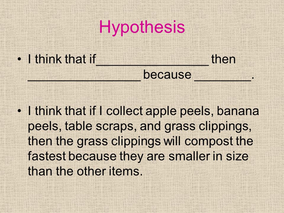 Hypothesys