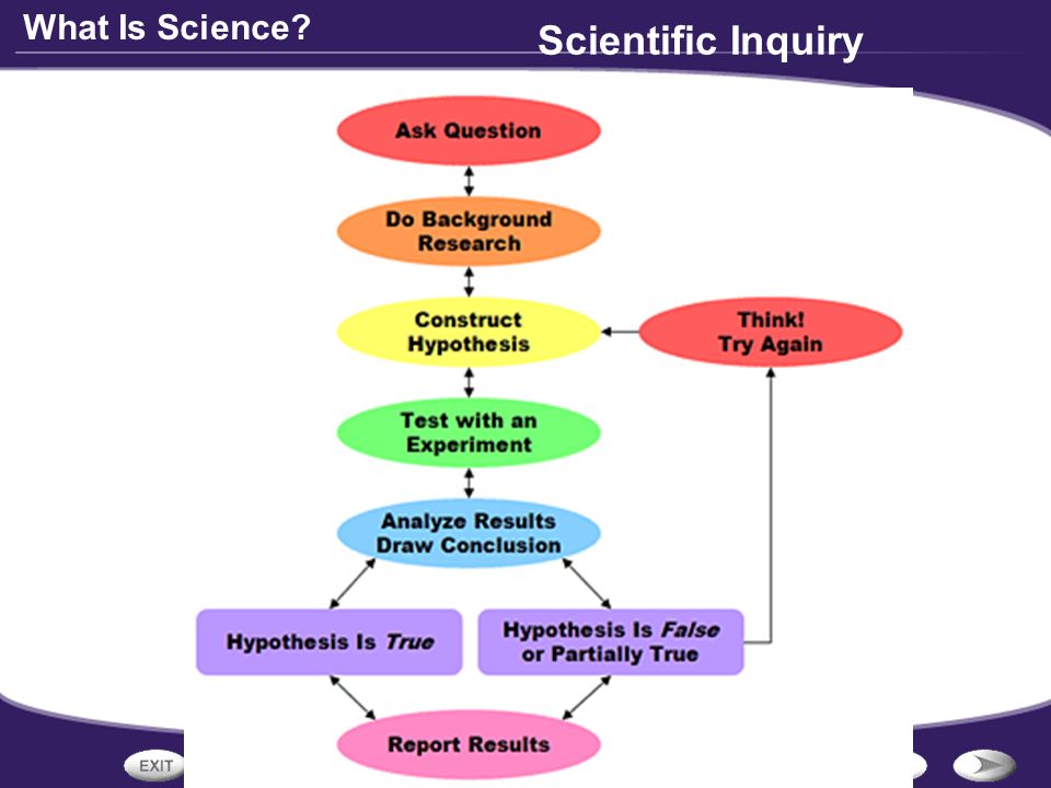 What Is Science Scientific Inquiry