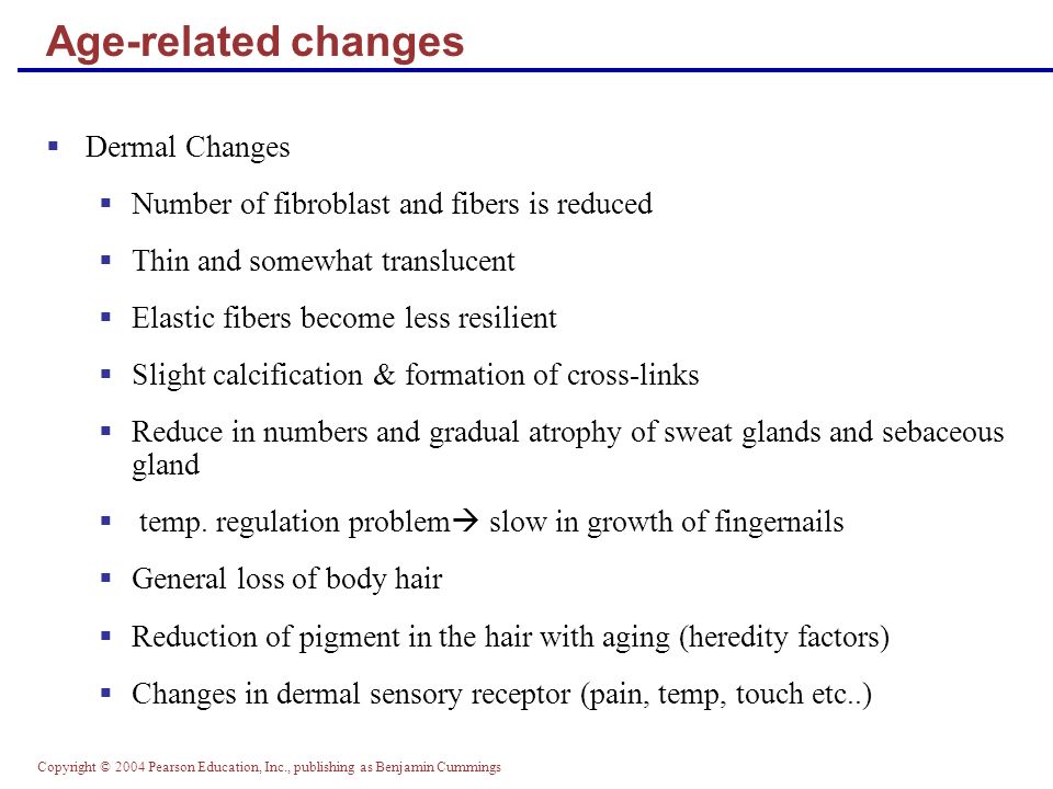 Copyright © 2004 Pearson Education, Inc., publishing as Benjamin Cummings Age-related changes  Dermal Changes  Number of fibroblast and fibers is reduced  Thin and somewhat translucent  Elastic fibers become less resilient  Slight calcification & formation of cross-links  Reduce in numbers and gradual atrophy of sweat glands and sebaceous gland  temp.