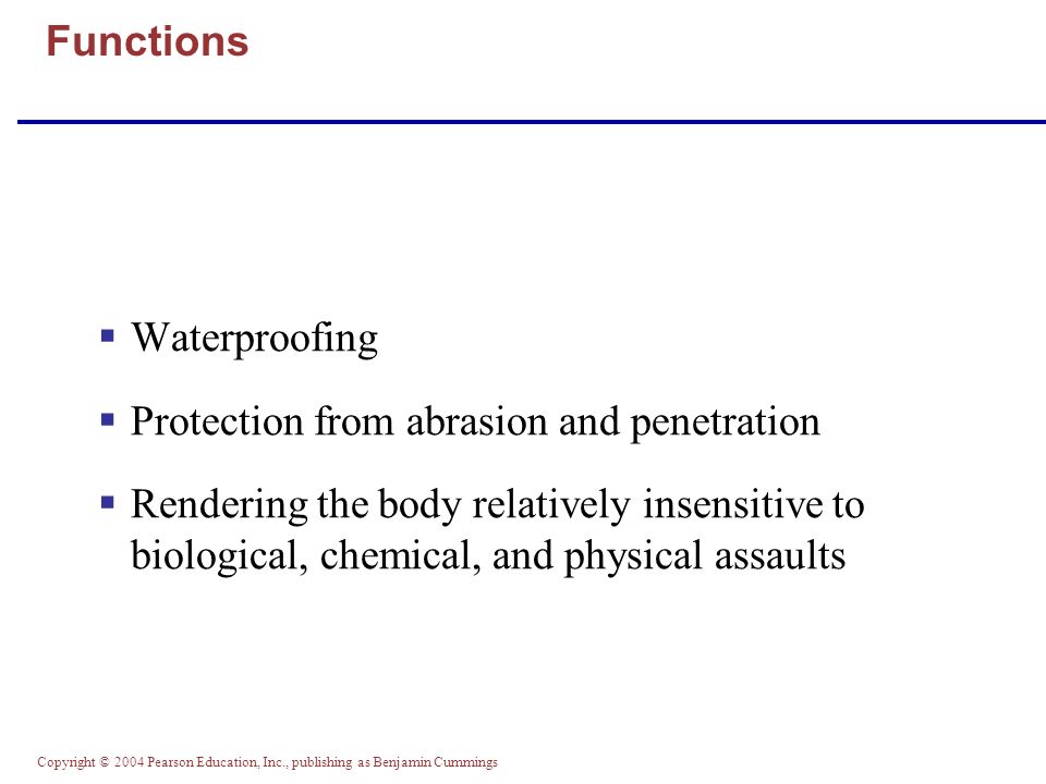 Copyright © 2004 Pearson Education, Inc., publishing as Benjamin Cummings  Waterproofing  Protection from abrasion and penetration  Rendering the body relatively insensitive to biological, chemical, and physical assaults Functions