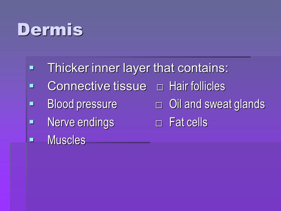 Dermis  Thicker inner layer that contains:  Connective tissue □Hair follicles  Blood pressure □Oil and sweat glands  Nerve endings □Fat cells  Muscles