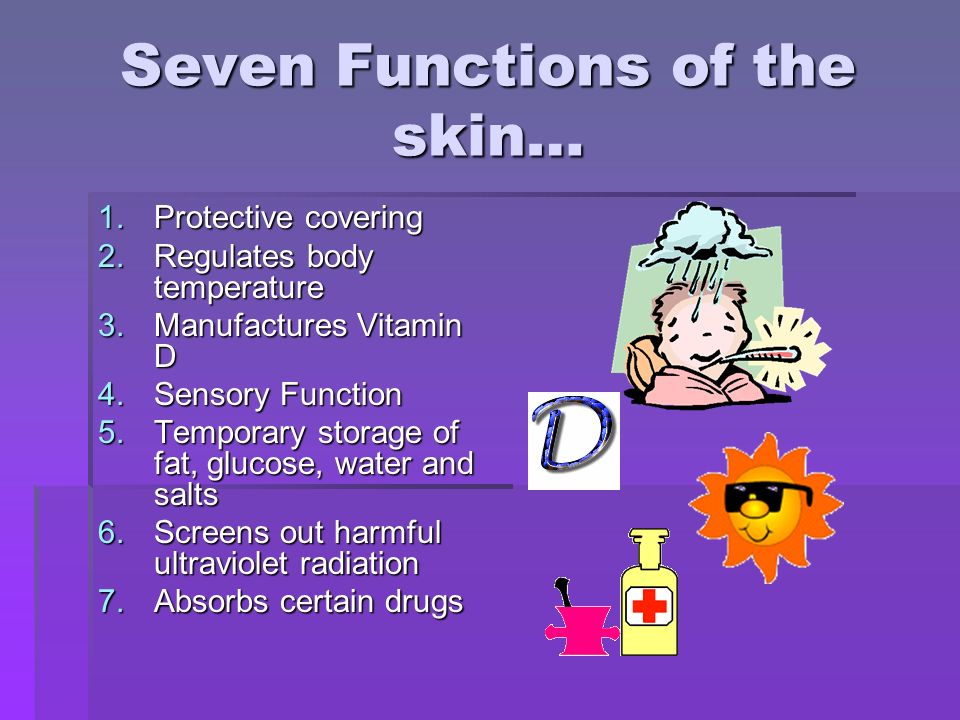 Seven Functions of the skin… 1.Protective covering 2.Regulates body temperature 3.Manufactures Vitamin D 4.Sensory Function 5.Temporary storage of fat, glucose, water and salts 6.Screens out harmful ultraviolet radiation 7.Absorbs certain drugs