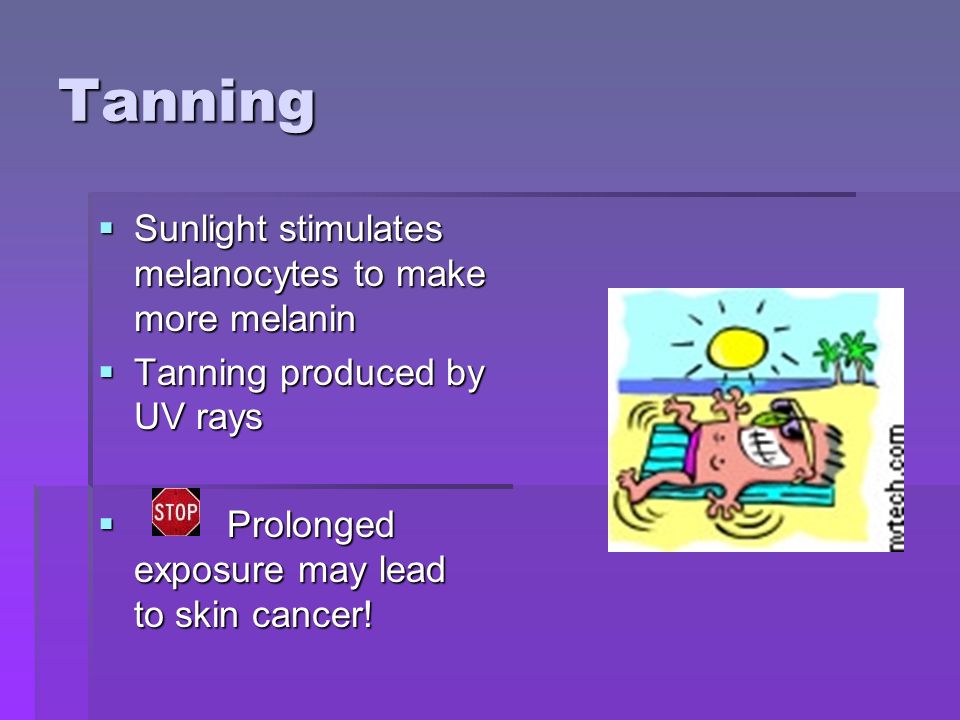 Tanning  Sunlight stimulates melanocytes to make more melanin  Tanning produced by UV rays  Prolonged exposure may lead to skin cancer!