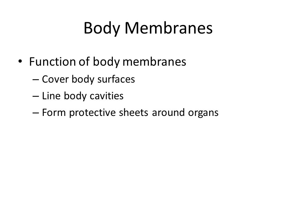 Body Membranes Function of body membranes – Cover body surfaces – Line body cavities – Form protective sheets around organs