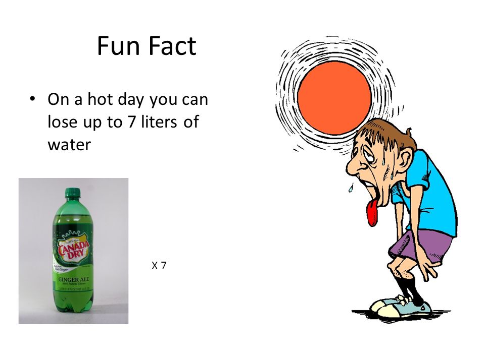 Fun Fact On a hot day you can lose up to 7 liters of water X 7