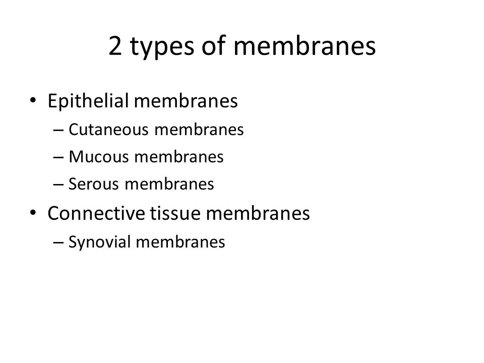 2 types of membranes Epithelial membranes – Cutaneous membranes – Mucous membranes – Serous membranes Connective tissue membranes – Synovial membranes