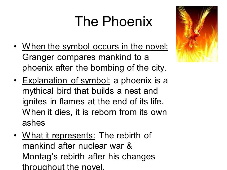 Essay Topics For Fahrenheit 451