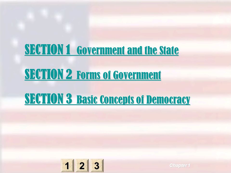 SECTION 1 Government and the State SECTION 1 Government and the State SECTION 2 Forms of Government SECTION 2 Forms of Government SECTION 3 Basic Concepts of Democracy SECTION 3 Basic Concepts of Democracy Chapter