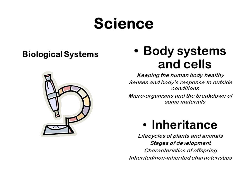 Science Body systems and cells Keeping the human body healthy Senses and body’s response to outside conditions Micro-organisms and the breakdown of some materials Inheritance Lifecycles of plants and animals Stages of development Characteristics of offspring Inherited/non-inherited characteristics Biological Systems
