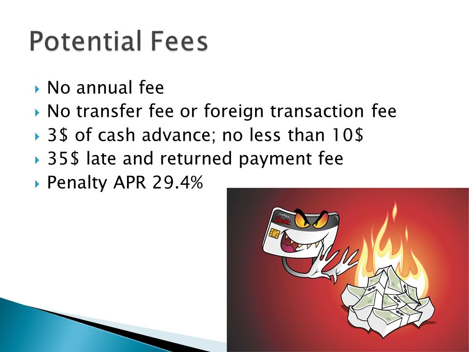 Money store payday loans picture 1