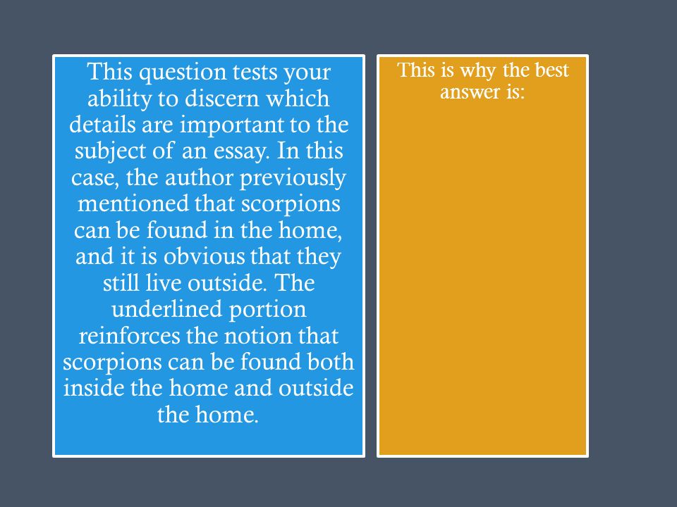Tools To Help You Write Scholarship Essays Campus Riot Scarlet Feminist Essay Essay Essays On Dracula Good Versus Evil Essay Yasomdns