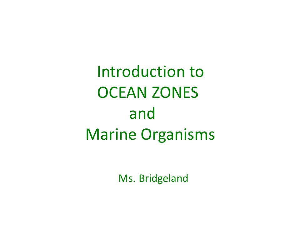 Introduction to OCEAN ZONES and Marine Organisms Ms. Bridgeland