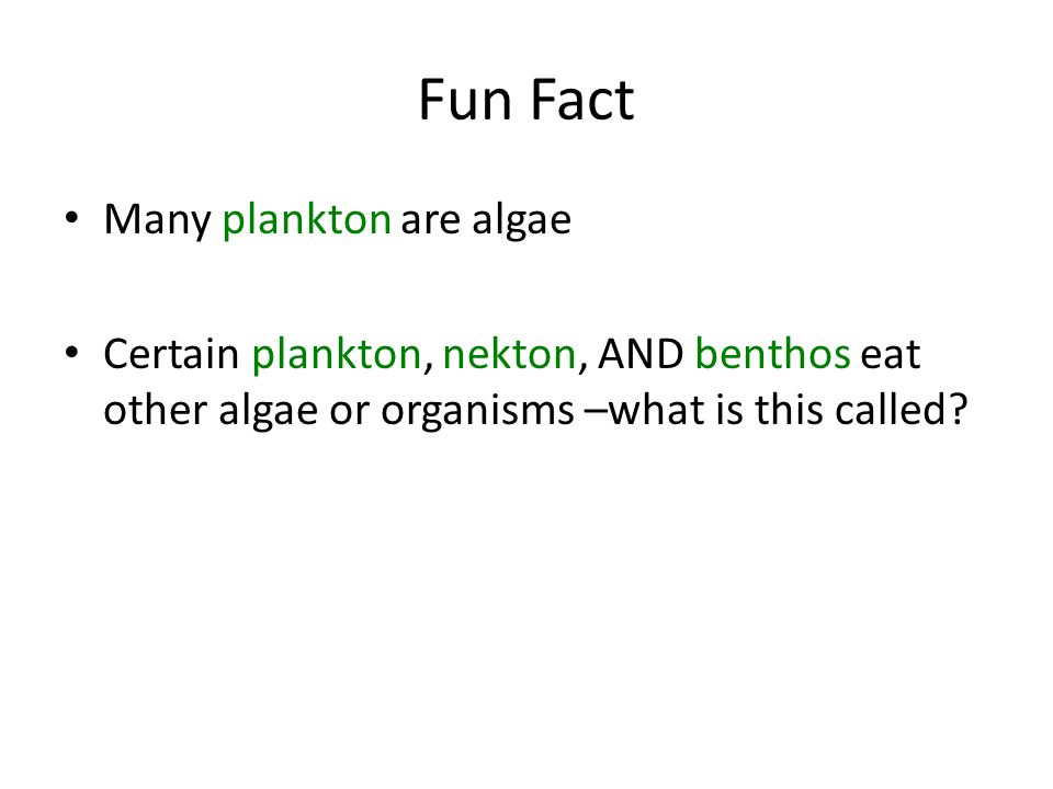 Fun Fact Many plankton are algae Certain plankton, nekton, AND benthos eat other algae or organisms –what is this called