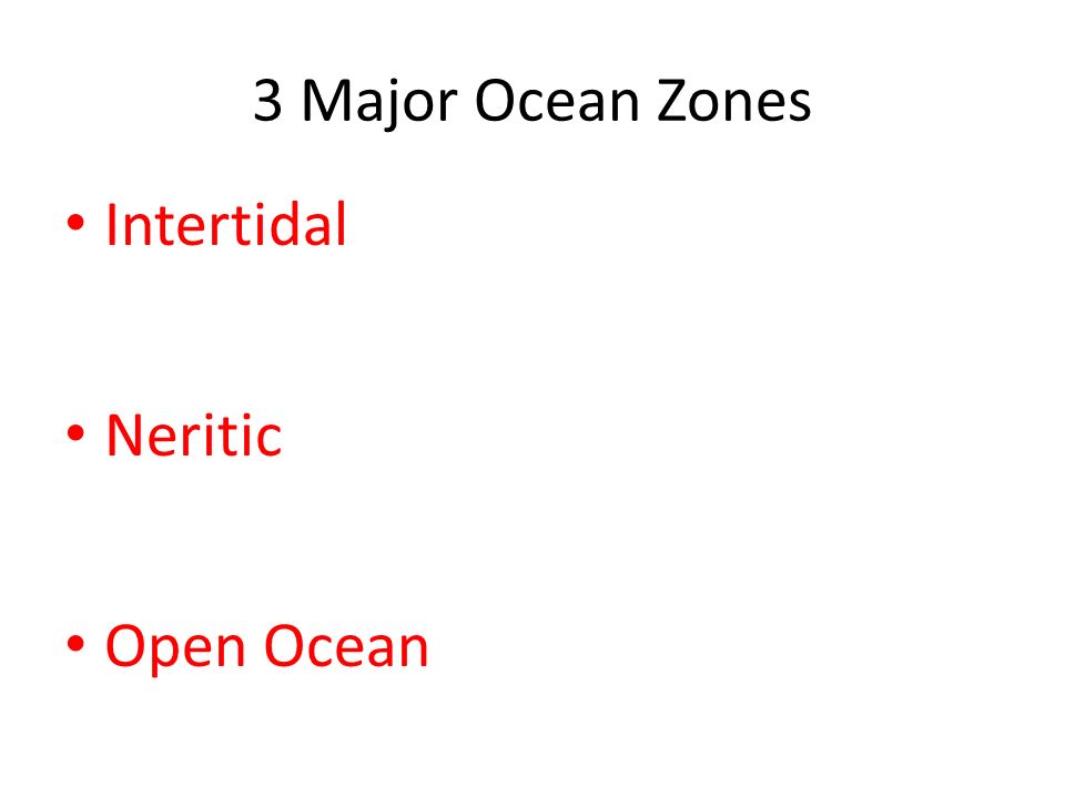 3 Major Ocean Zones Intertidal Neritic Open Ocean