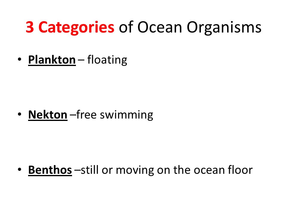 3 Categories of Ocean Organisms Plankton – floating Nekton –free swimming Benthos –still or moving on the ocean floor