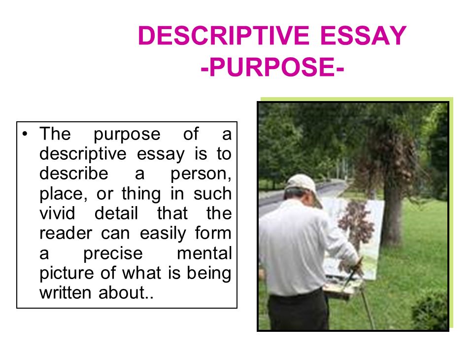 Descriptive Essays On A Person