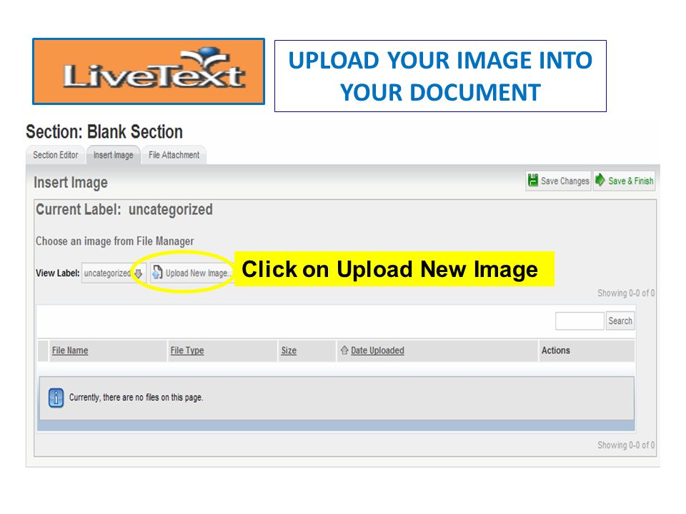 PASTE YOUR INFO INTO LIVETEXT DOCUMENT 1.Type: Your Document Title Here 2.
