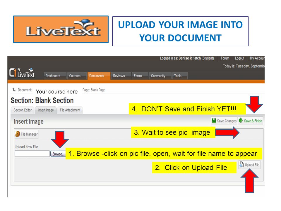 UPLOAD YOUR IMAGE INTO YOUR DOCUMENT Click on Upload New Image