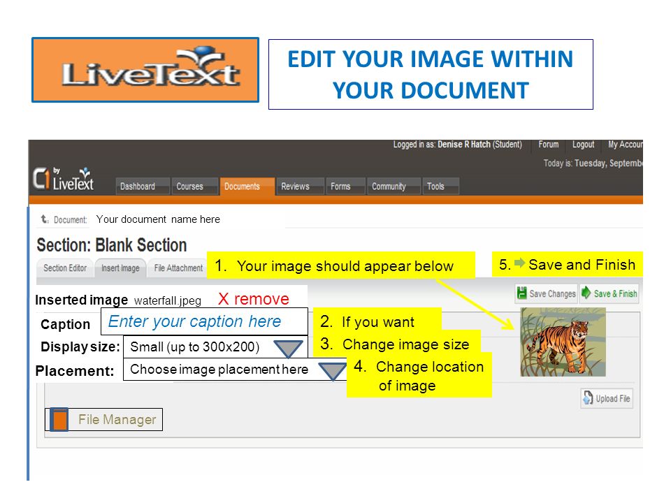 UPLOAD YOUR IMAGE INTO YOUR DOCUMENT 1.